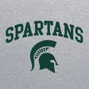 Gray MSU Classic Spartan Arch Logo T-shirt