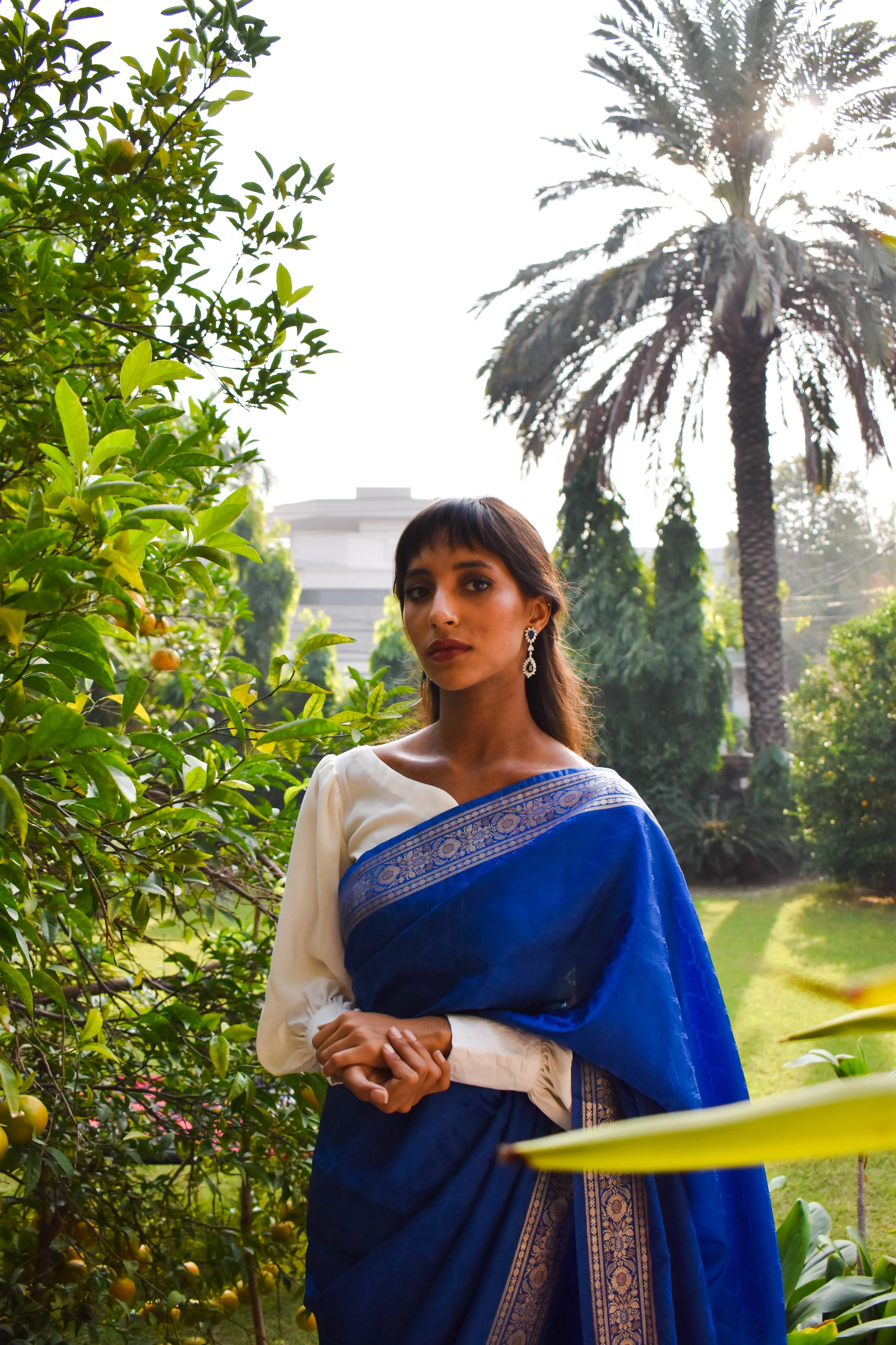 Regalia Banarsi Silks: Shahana