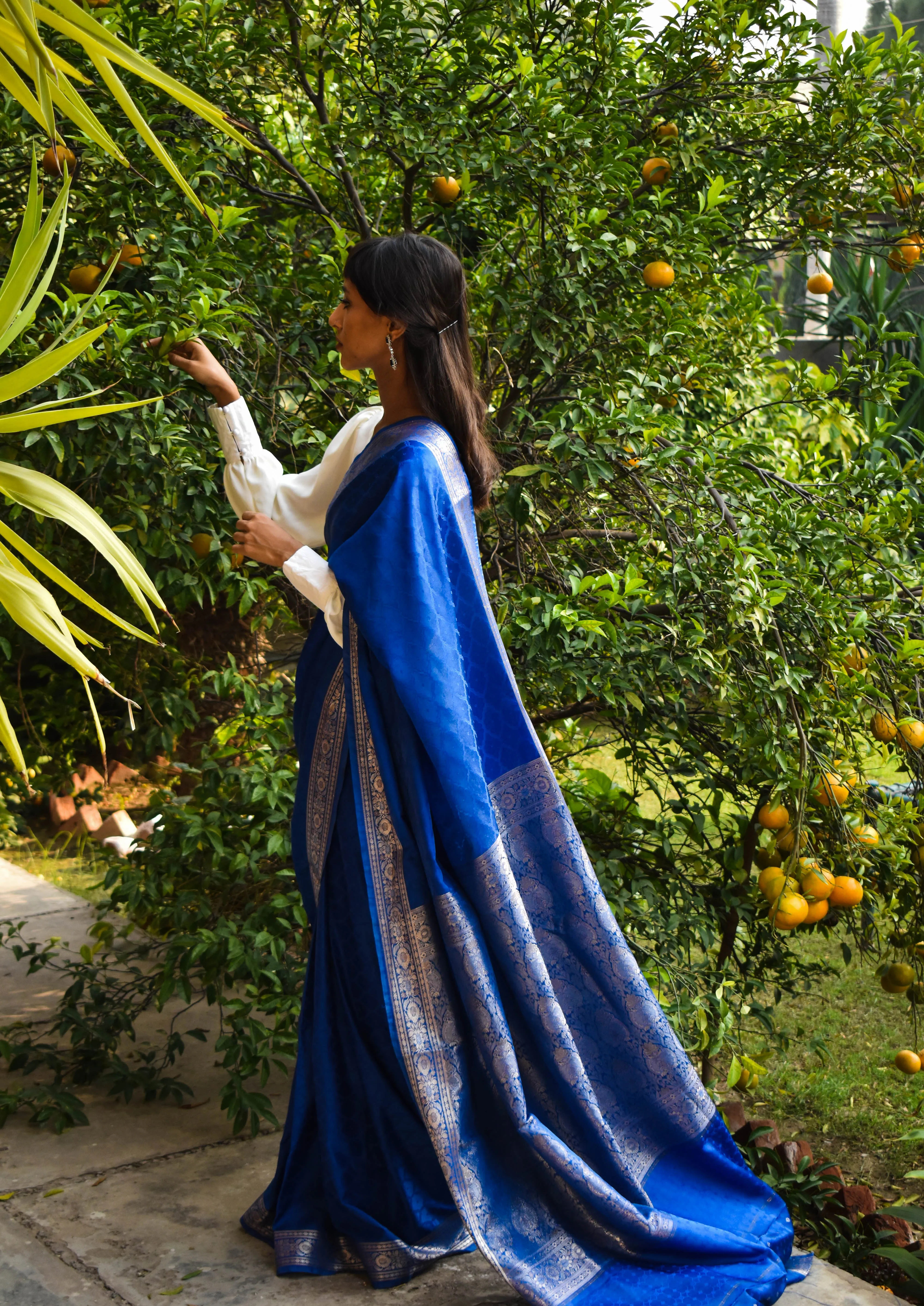 Regalia Banarsi Silks: Shahana